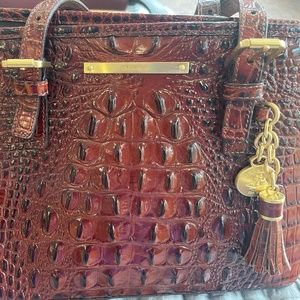 Beautiful Brahmin handbag